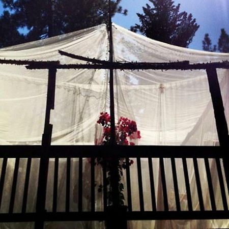 קולטרוויל The Red Rooster Lodge מראה חיצוני תמונה