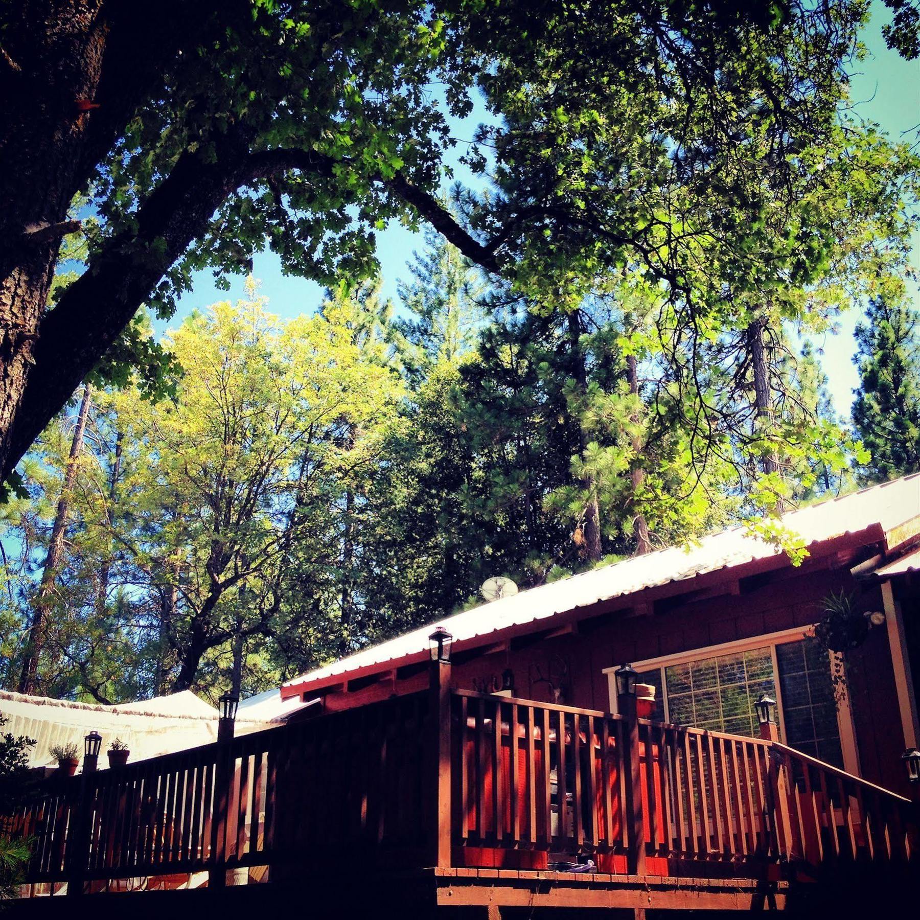 קולטרוויל The Red Rooster Lodge מראה חיצוני תמונה