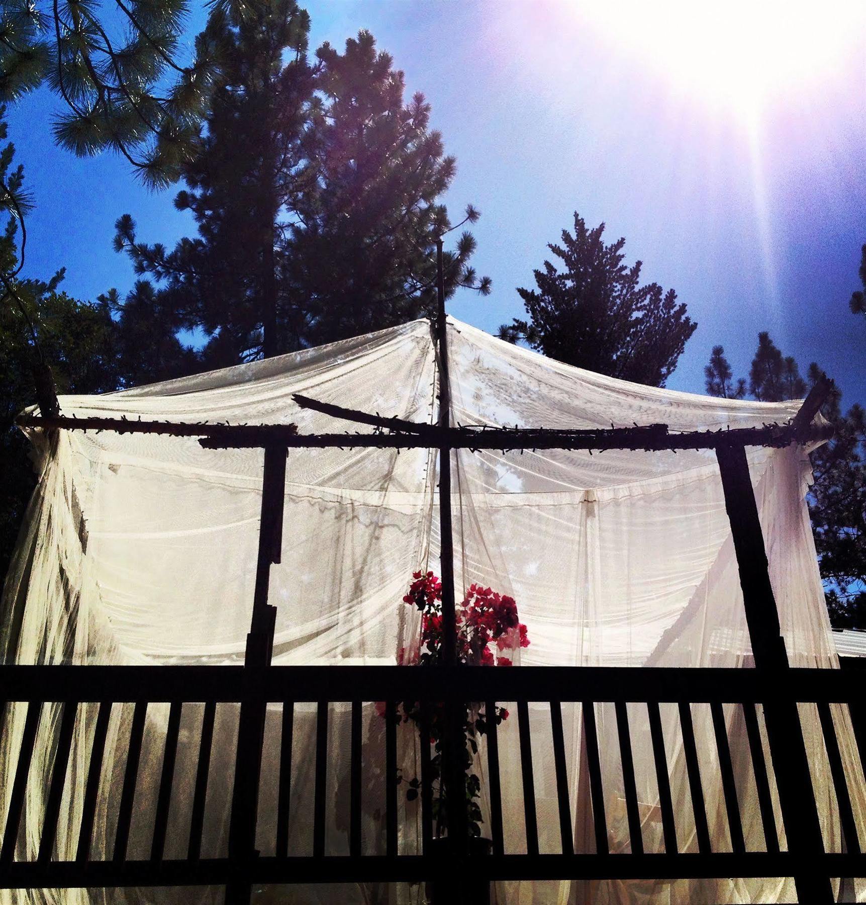 קולטרוויל The Red Rooster Lodge מראה חיצוני תמונה