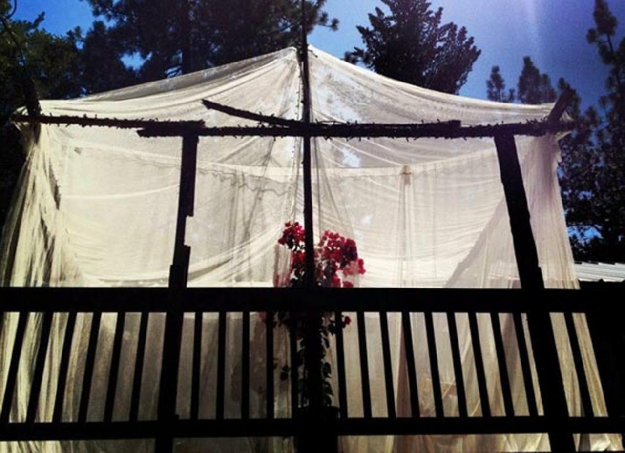 קולטרוויל The Red Rooster Lodge מראה חיצוני תמונה