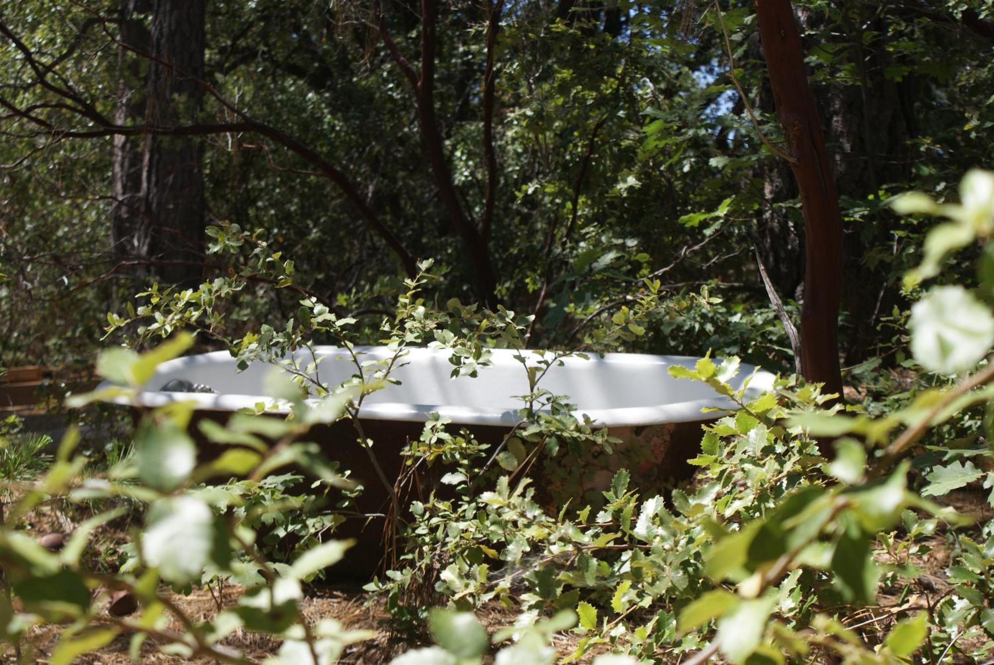 קולטרוויל The Red Rooster Lodge מראה חיצוני תמונה